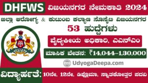 DHFWS Vijayanagara Recruitment 2024